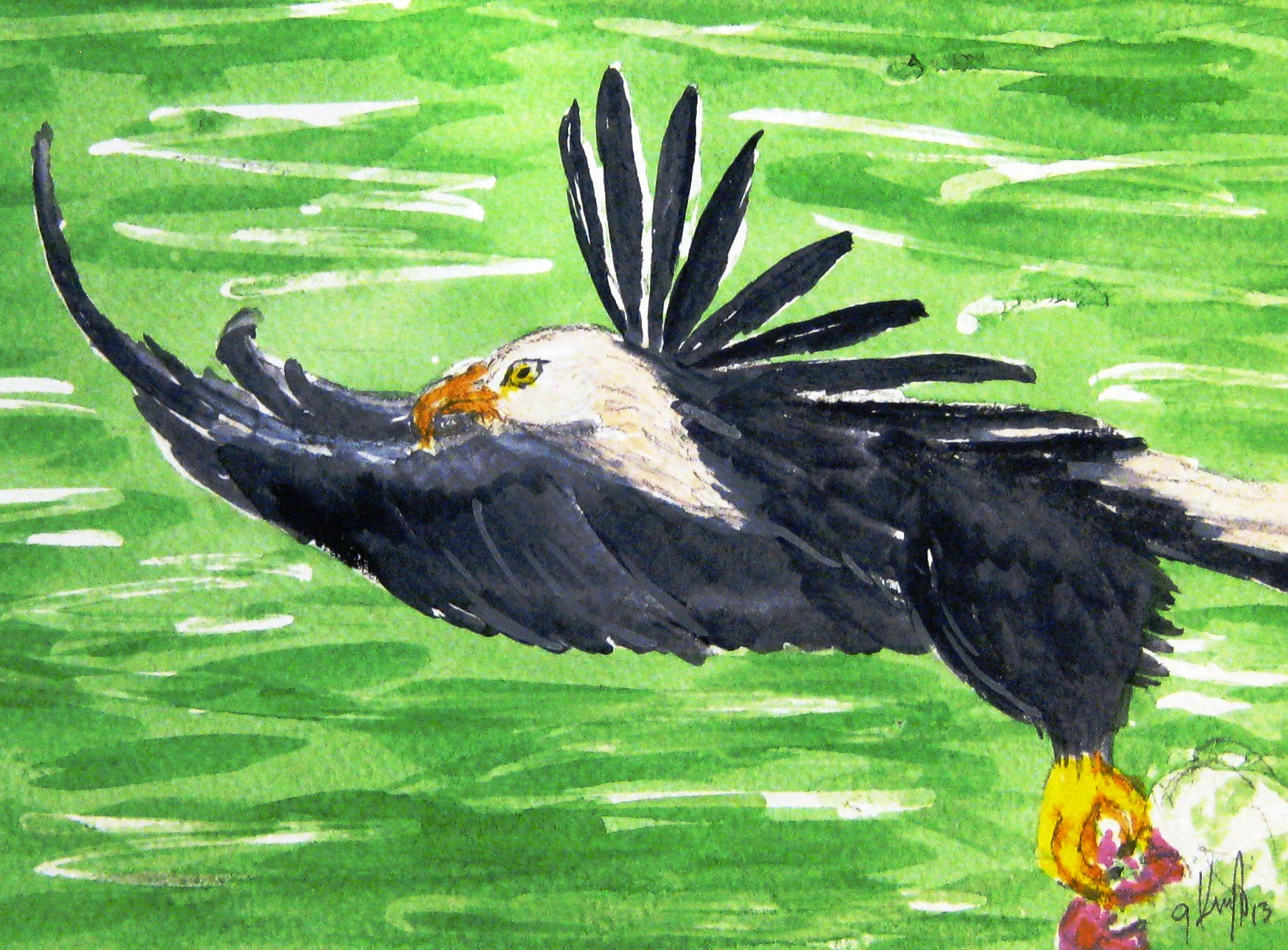Watercolor of a bald eagle in flight skimming over bright green water, talons extended to catch prey